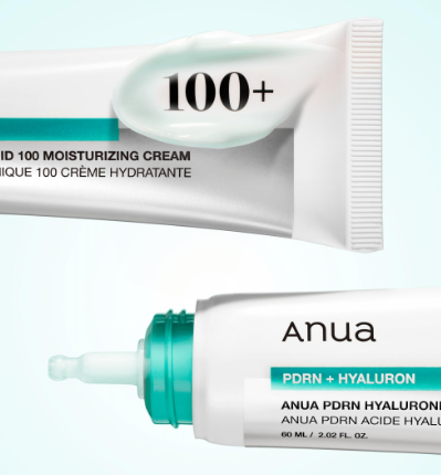 Anua PDRN Hyaluronic Acid 100 Moisturizing Cream 60ml • SKINCARE Chile | ISEORA